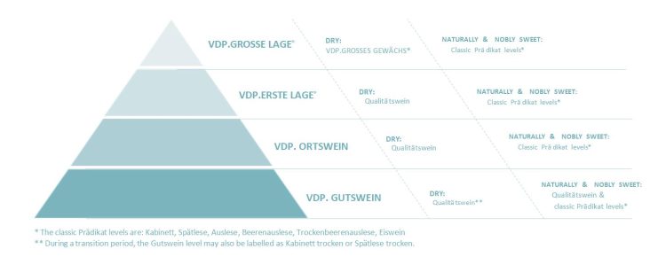 What is VDP? What is VDP?